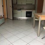 Rent 2 bedroom apartment of 45 m² in Forlì