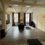 Rent 3 bedroom apartment of 100 m² in Leiden