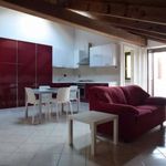 Rent 1 bedroom house of 50 m² in Vercelli