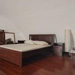 Rent 2 bedroom apartment of 65 m² in Albano Laziale