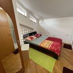 Najam 4 spavaće sobe stan od 85 m² u Primorsko-goranska