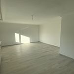 Rent 1 bedroom apartment in Seltz