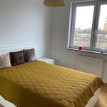 Rent 3 bedroom apartment of 68 m² in Poznan