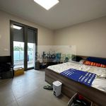 Rent 4 bedroom house of 110 m² in Vittoria