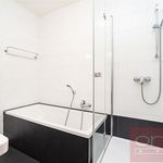 Rent 1 bedroom house of 342 m² in Praha