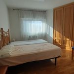 Rent 2 bedroom apartment of 70 m² in Pamplona
