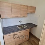Rent 1 bedroom apartment of 28 m² in Ostrava