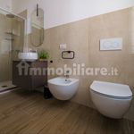 Rent 1 bedroom apartment of 45 m² in Treviso