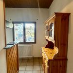 Rent 1 bedroom apartment of 22 m² in Voglans