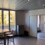 Rent 2 bedroom apartment of 38 m² in Grenoble
