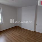 Rent 1 bedroom house of 33 m² in Zlín