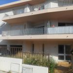 Rent 1 bedroom apartment of 40 m² in Perpignan