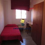 Alquilo 4 dormitorio apartamento de 80 m² en Alaraz