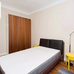 Rent 3 bedroom apartment of 106 m² in Kraków