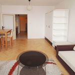 Rent 1 bedroom apartment of 27 m² in Brno