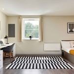 Rent 1 bedroom student apartment of 30 m² in Huddersfield