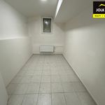 Rent 1 bedroom apartment of 1 m² in Opava