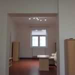 Rent 1 bedroom house of 58 m² in Pardubice