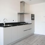 Rent 1 bedroom apartment of 43 m² in 's-Gravenhage