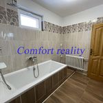 Rent 5 bedroom apartment of 160 m² in Vřesina