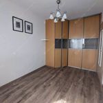 Rent 2 bedroom apartment of 49 m² in Budapest