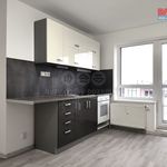 Rent 1 bedroom apartment of 29 m² in Milovice