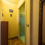 Affitto 1 camera appartamento di 58 m² in Firenze