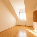 Rent 1 bedroom house of 110 m² in Praha