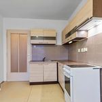 Rent 1 bedroom apartment of 62 m² in Hronov