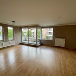 Rent 2 bedroom apartment in Hoogstraten