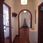 Rent 4 bedroom apartment of 150 m² in Brindisi