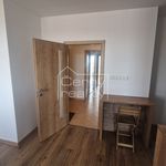 Rent 3 bedroom apartment of 98 m² in Pardubice