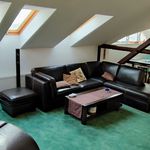 Rent 3 bedroom apartment of 118 m² in Ostrava