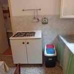 Rent 2 bedroom apartment of 50 m² in Viareggio