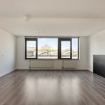 Rent 3 bedroom apartment in Rijswijk