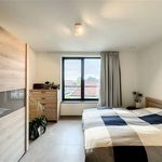 Rent 2 bedroom apartment in Deinze