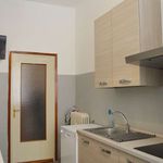 Rent a room of 144 m² in Milano