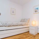 Rent 4 bedroom apartment in Zaragoza