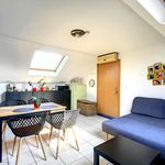 Rent 2 bedroom apartment in Fontaine-l'Evêque