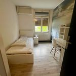 Rent 5 bedroom apartment of 84 m² in Strasbourg
