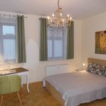 Rent 1 bedroom apartment of 35 m² in Leipzig