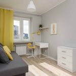 Rent 5 bedroom apartment in Warsaw