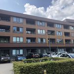 Rent 1 bedroom apartment of 52 m² in Boxtel