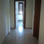 Rent 3 bedroom apartment of 65 m² in Cassino