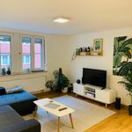 Rent 2 bedroom apartment of 55 m² in Nürnberg