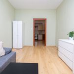Rent 1 bedroom apartment of 40 m² in Kraków