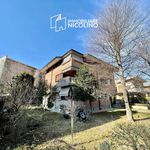 Rent 5 bedroom apartment of 150 m² in Cuneo