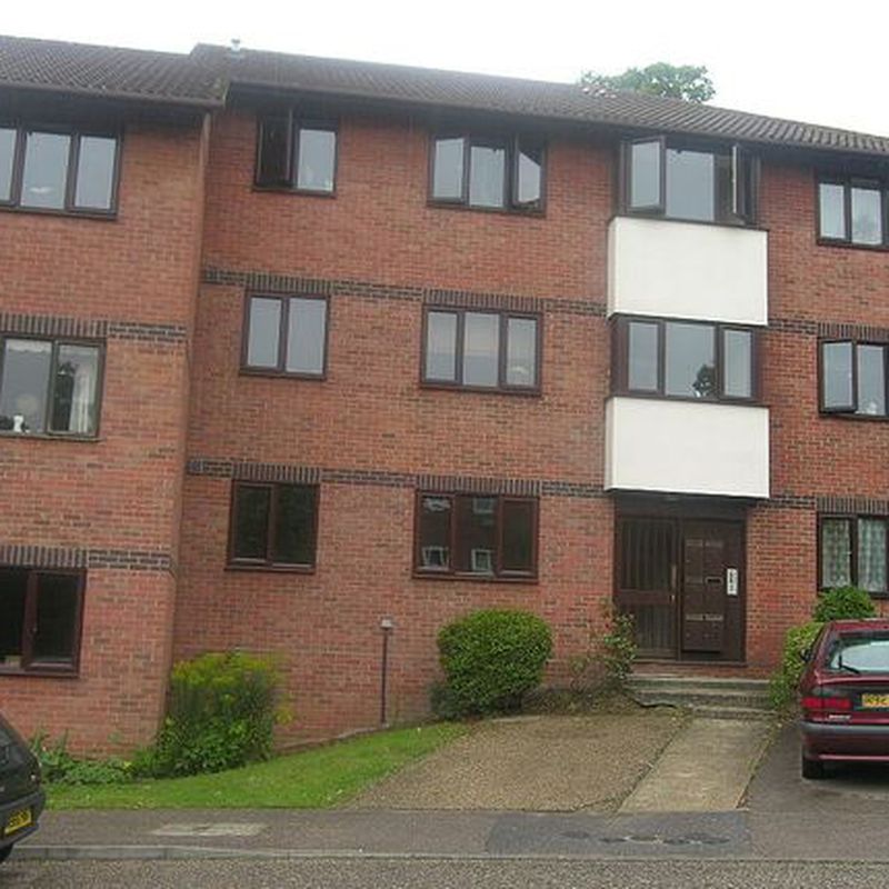 Property to rent in Oakstead Close, Ipswich IP4 California