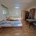 Rent 1 bedroom apartment of 22 m² in Primorsko-goranska