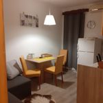 Rent 1 bedroom apartment of 49 m² in Murter